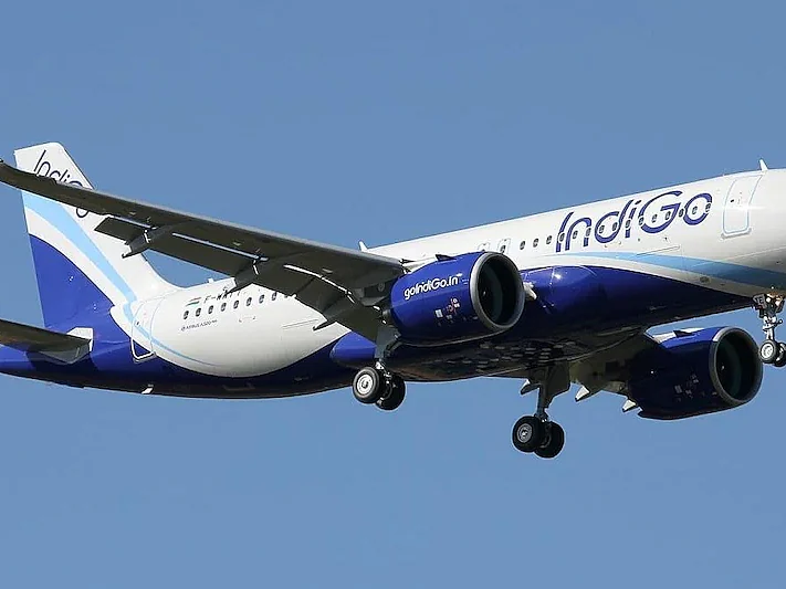indigo