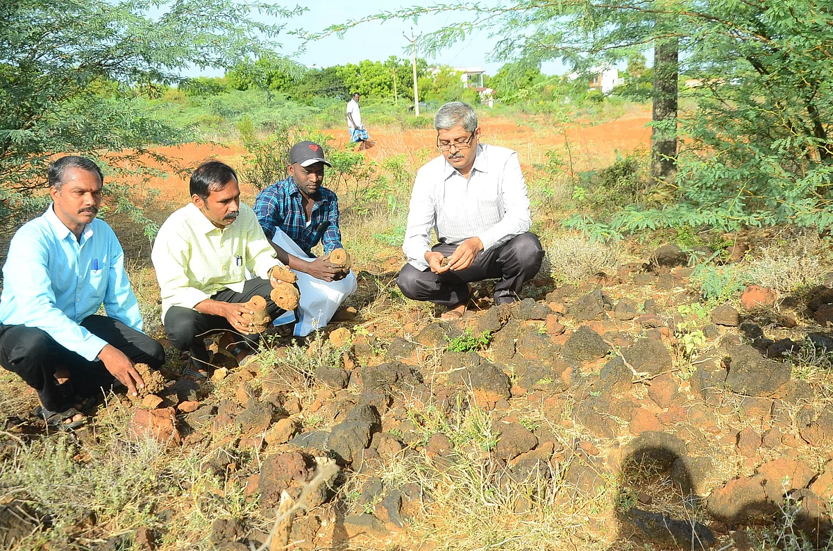 ஆய்வின்போது