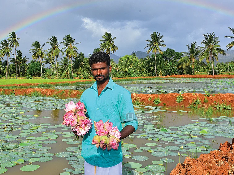ஒரு ஏக்கர் குளத்தில் ஆண்டுக்கு ரூ.1,40,000 லாபம்... தாமரை கொடுக்கும் வெகுமதி!