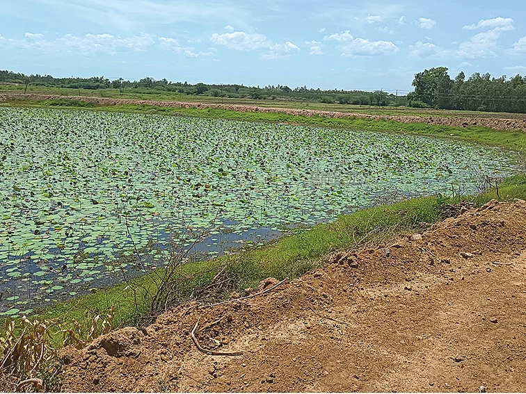 ஏரிகளை மீட்டெடுக்கும் ஓய்வுபெற்ற ஆசிரியர்... 4 ஆண்டுகளாக தொடரும் ஓய்வில்லா சேவை!