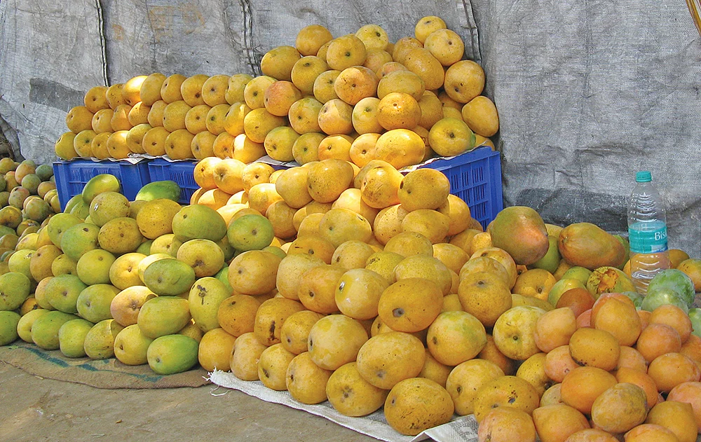 மாம்பழங்கள்