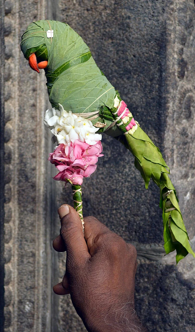 ஆண்டாள் அற்புதங்கள்! - ஆடிப்பூர தரிசனம்