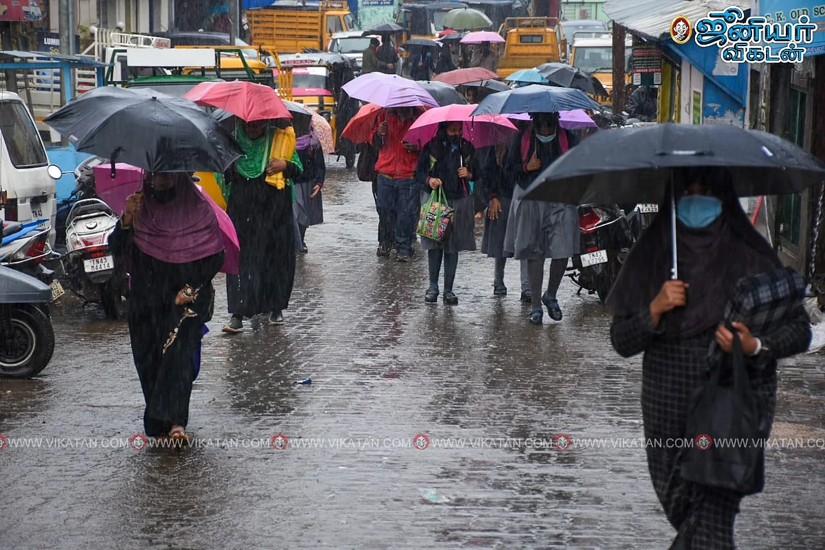 மீண்டும் கமலாலயம் வந்த எஸ்.வி.சேகர் முதல் விசிக-வை குறிவைக்கும் நாம் தமிழர் வரை - கழுகார் அப்டேட்ஸ்