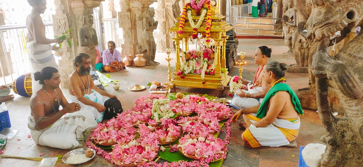 பழநி கோயிலில் சிறப்பு அன்னாபிஷேகம்; என்ன பின்னணி?