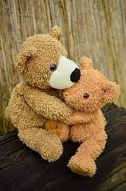 Cuddle