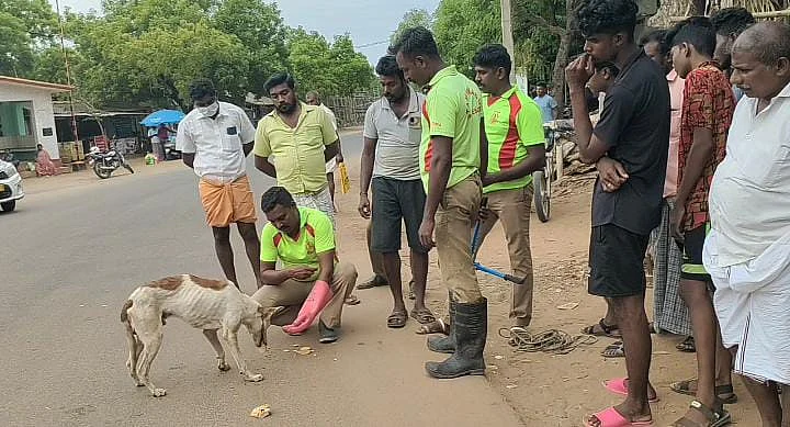 பிஸ்கட் அளித்து ஈர்க்கப்பட்ட நாய்