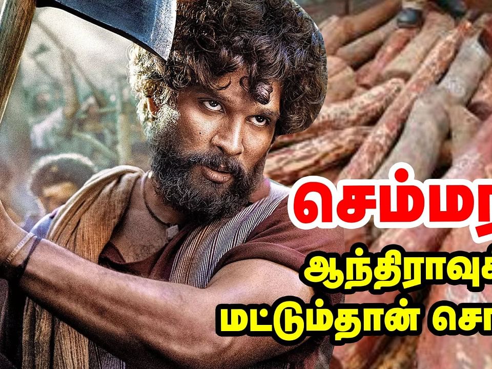 செம்மரம் ஏன் கோடிகளில் விற்கிறது? | Why red sandalwood Is So Expensive? 