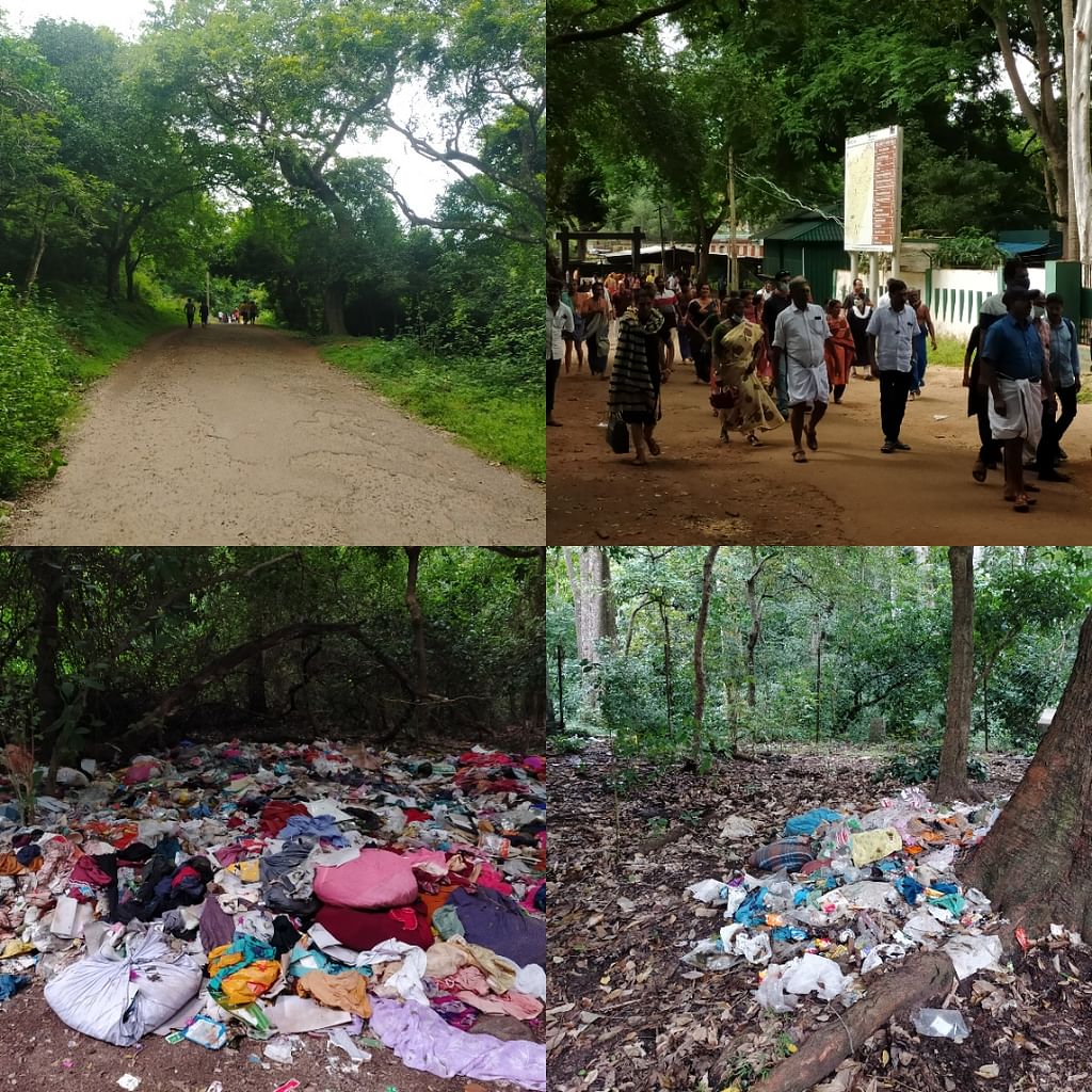 அருவிக்குச் செல்லும் பாதை