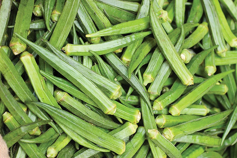 வெண்டைக்காய்