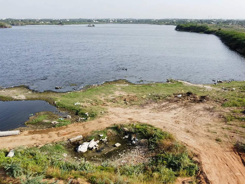 களமிறங்கிய தன்னார்வலர்கள் -
திருப்பூர் நஞ்சராயன் குளத்தை மீட்க உருவானது இயக்கம்..!