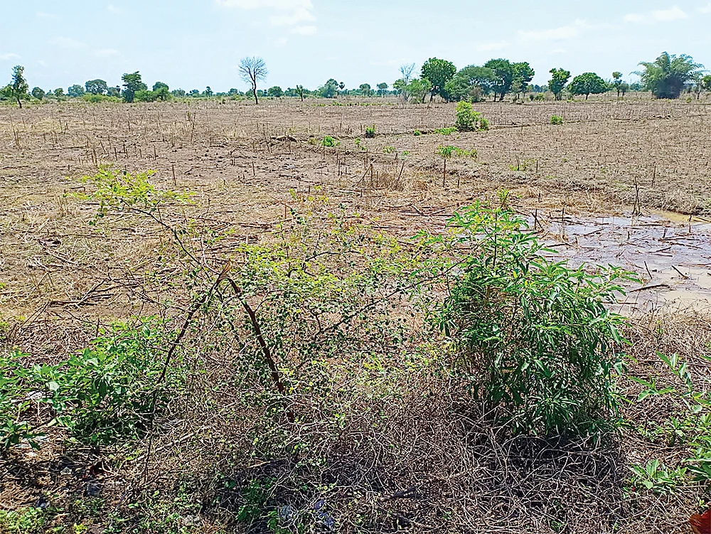 15 ஆண்டுகள்... 3,000 ஏக்கர் தரிசு நிலம்... திரும்ப ஒப்படைக்குமா அரசு?