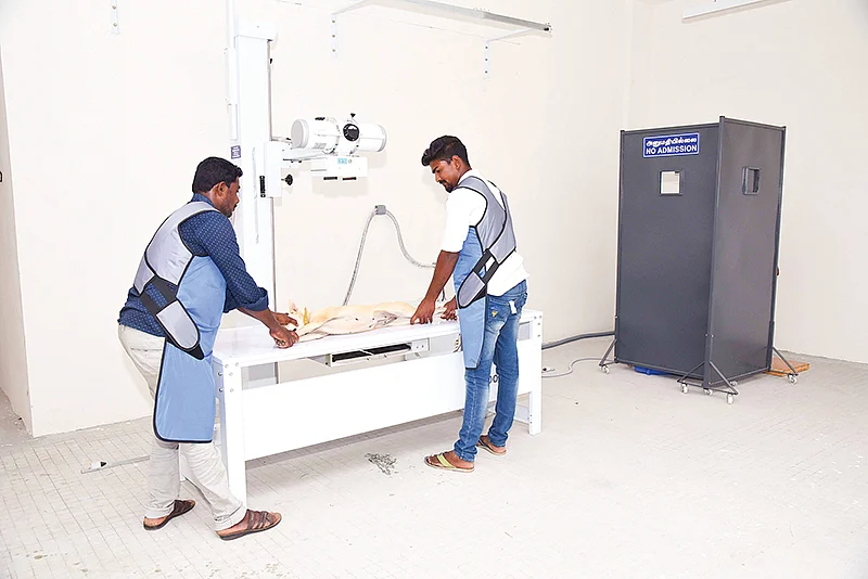 கால்நடைப் பூங்காவில்