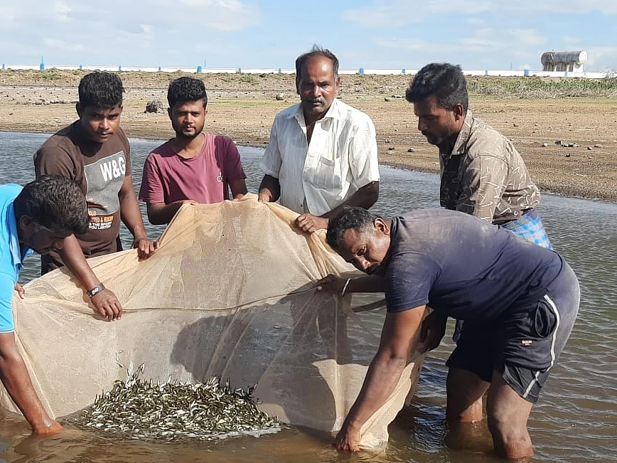 வைகை அணை: 16 லட்சம் மீன்கள் வளர்க்க இலக்கு!