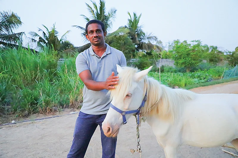 குதிரையுடன்