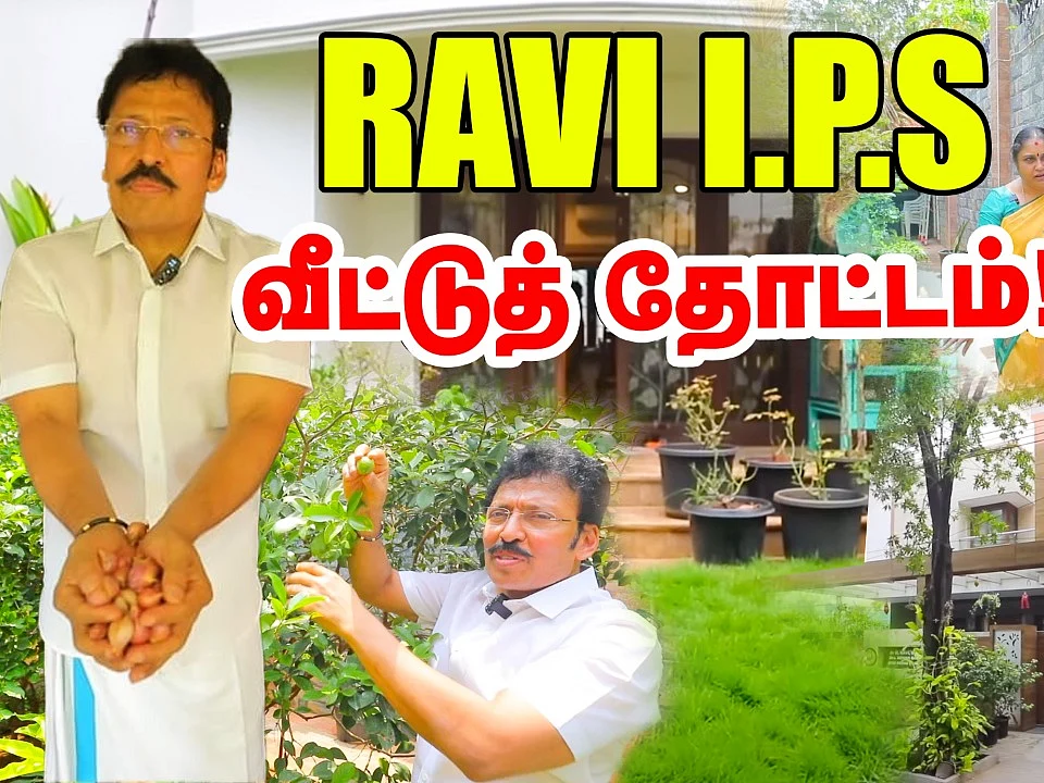 வீடு முழுக்க வெற்றிலைக்கொடி; பிரம்மிக்க வைக்கும் ரவி ஐ.பி.எஸ் வீட்டுத் தோட்டம்!