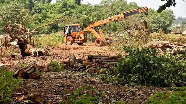 மெட்ரோ ரயில் பணிகாக மரங்கள் வெட்டப்பட்ட காட்சி