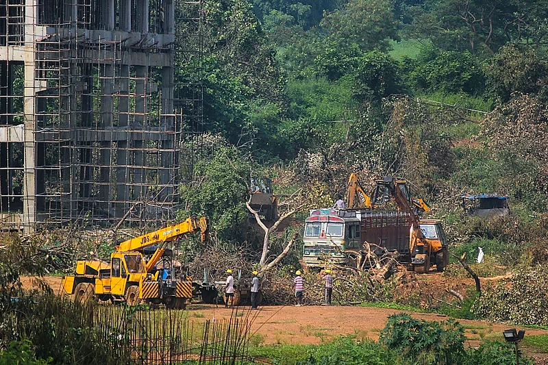 ஆரே காலனி வனம்