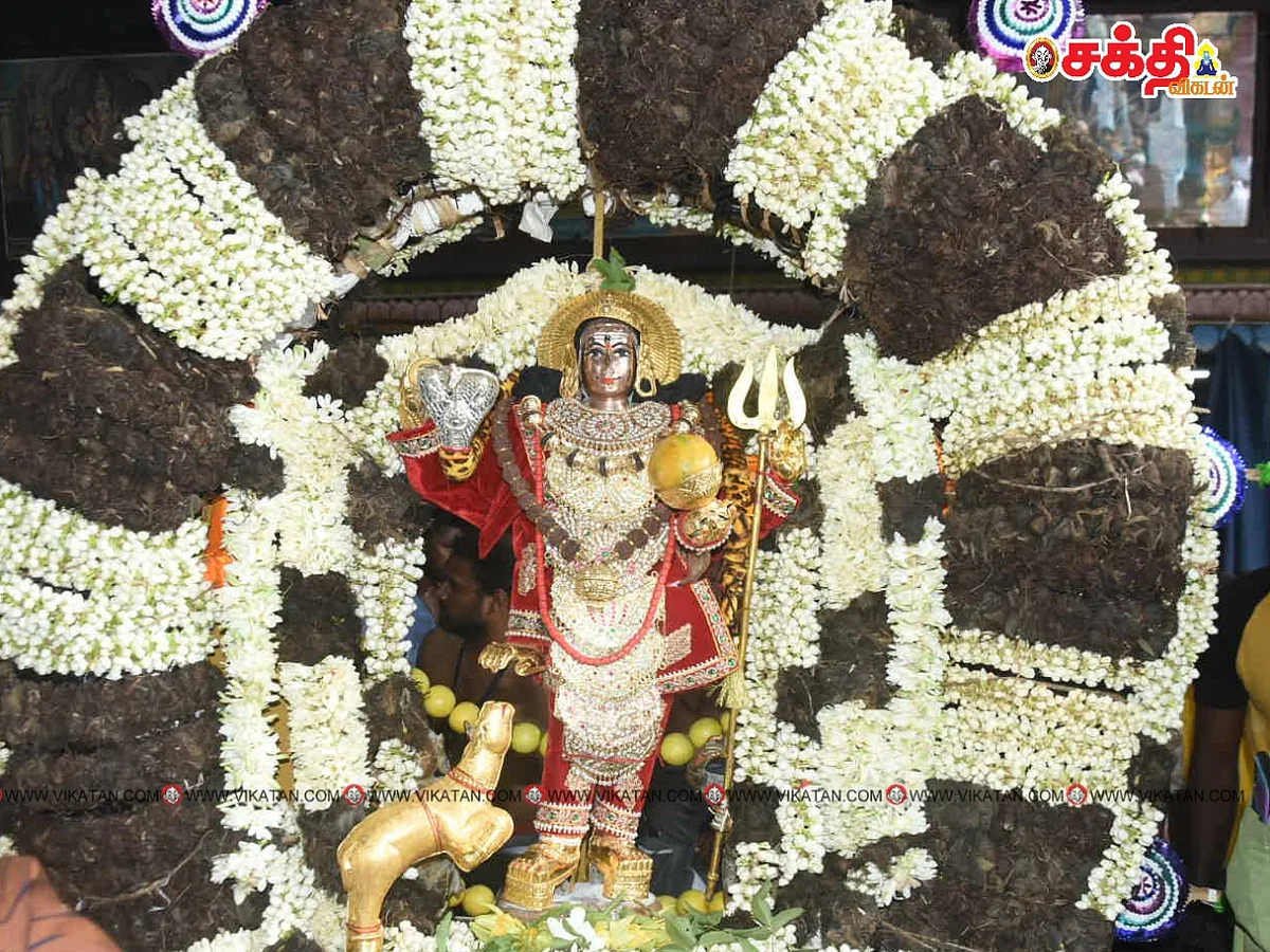 காரைக்காலில் நடைபெற்ற மாங்கனி திருவிழா |Photo Album