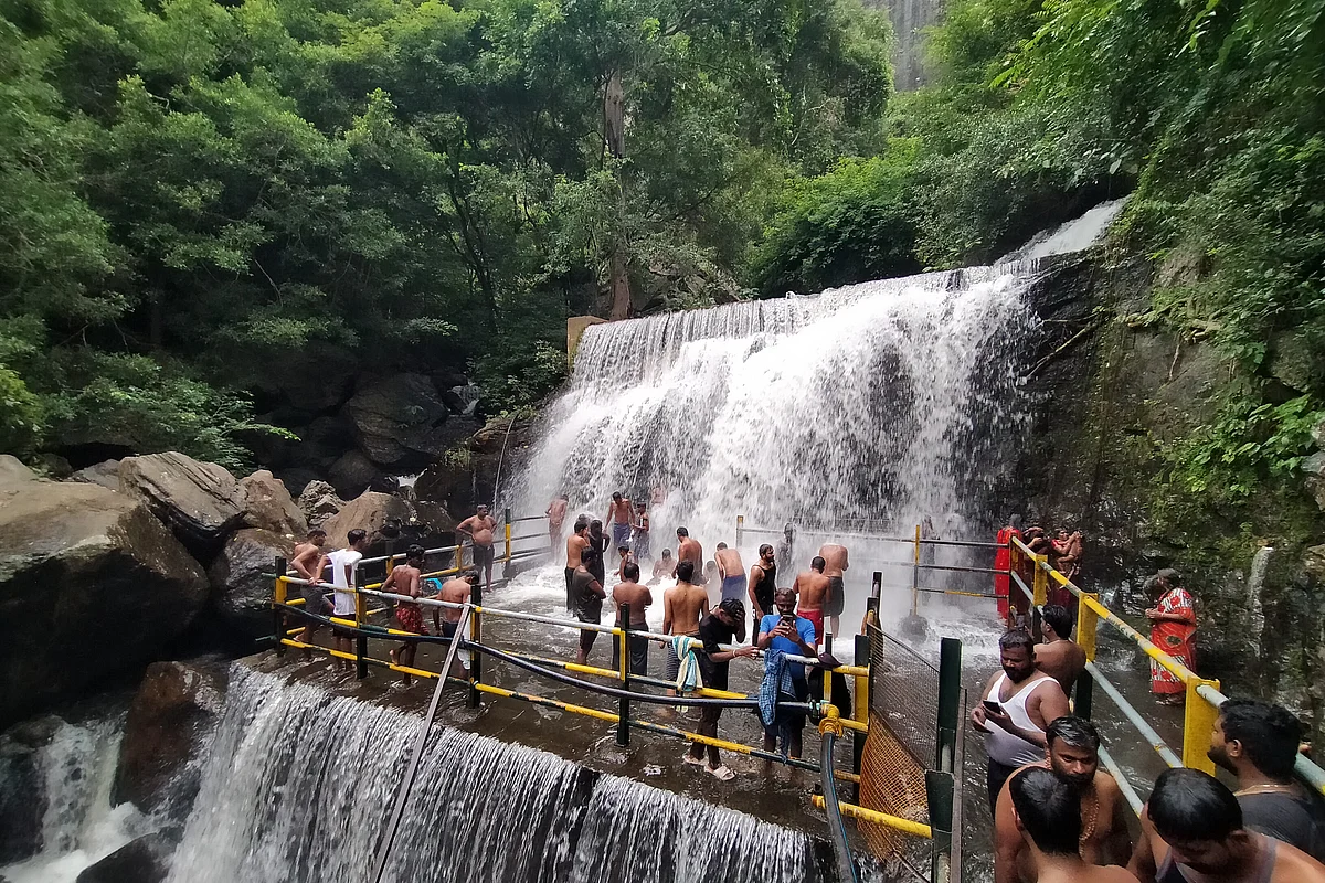 சுருளி அருவி