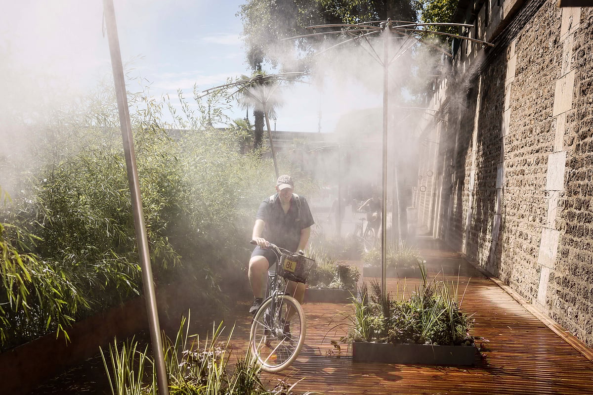 ஸ்பெயின்: வெப்ப அலையால் 1,508 பேர் மரணம் - காலநிலை மாற்றம் குறித்து WHO எச்சரிக்கை