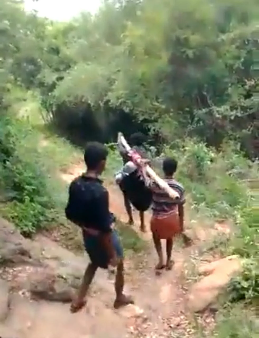 தொட்டில் கட்டி தூக்கி செல்லப்படும் கர்ப்பிணி