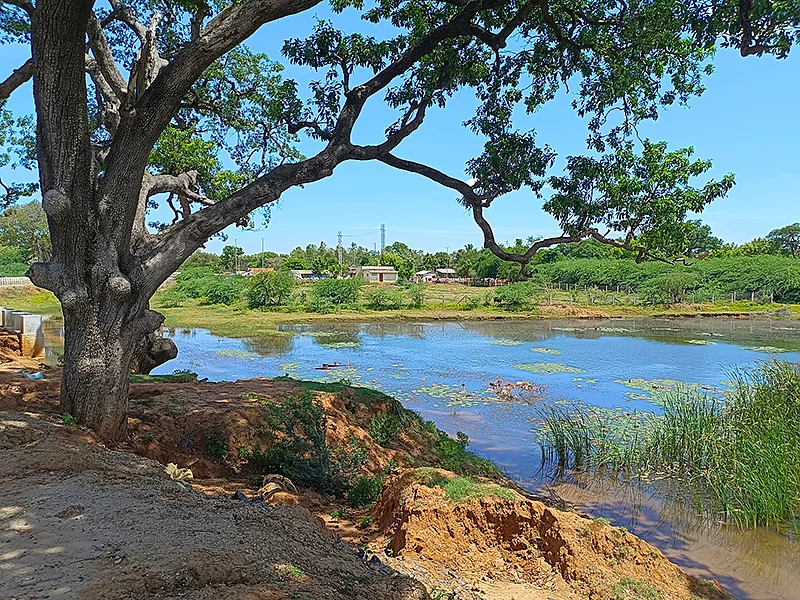 ஏரி
