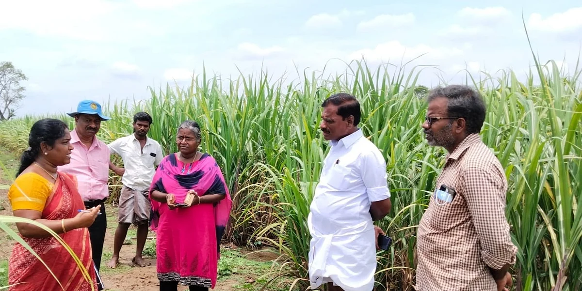 விஞ்ஞானிகள் ஆய்வு