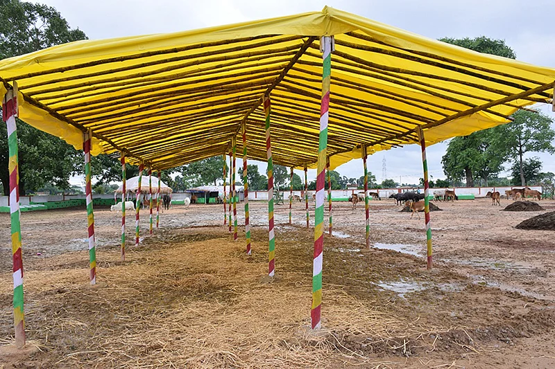 மாடு பராமரிப்பு மையம்