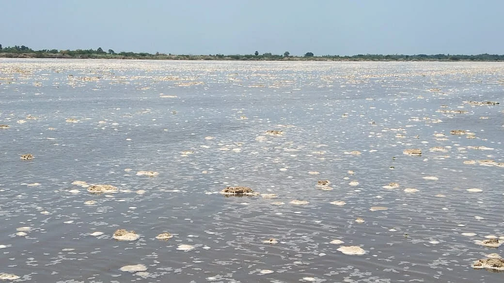 கொள்ளிடம்