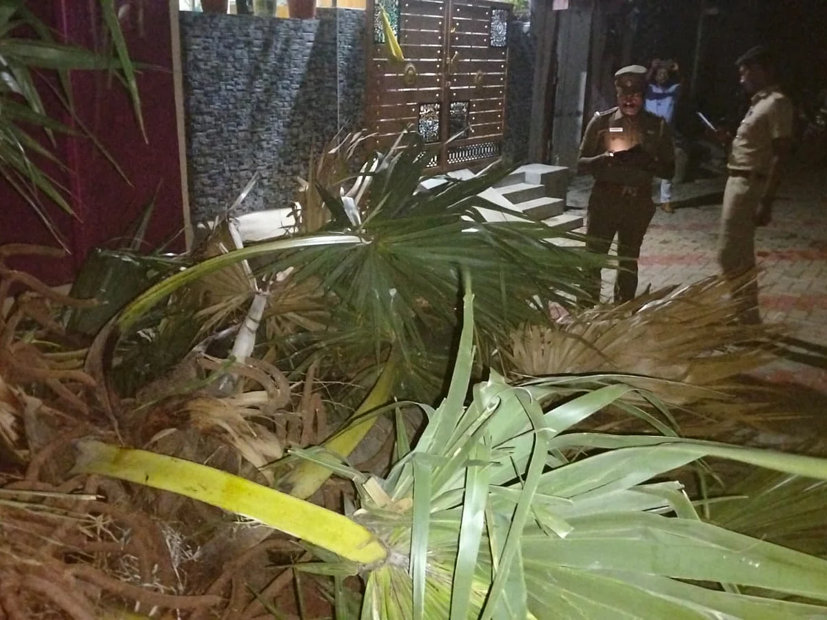 தூத்துக்குடி: காற்றில் ஒடிந்து விழுந்த பனைமரம்; ஒன்றரை வயது பெண் குழந்தைக்கு நேர்ந்த சோகம்