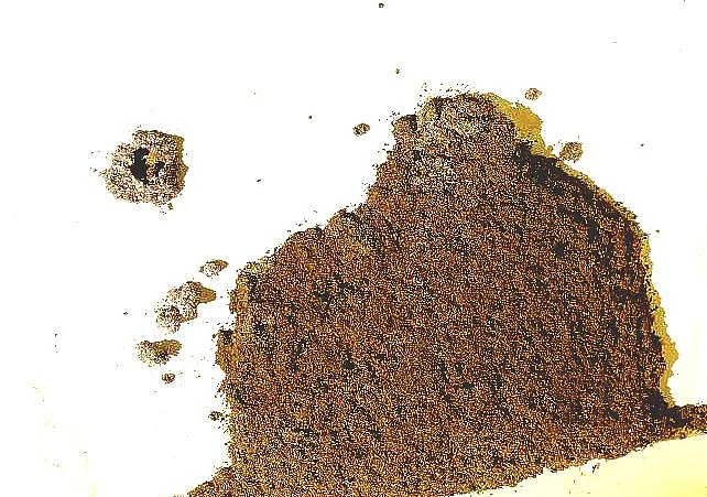 கறையான்