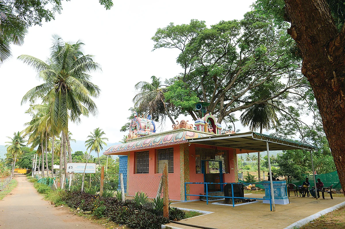 யானையே எங்க சாமி! - சிலை வைத்து வழிபடும் கிராமம்