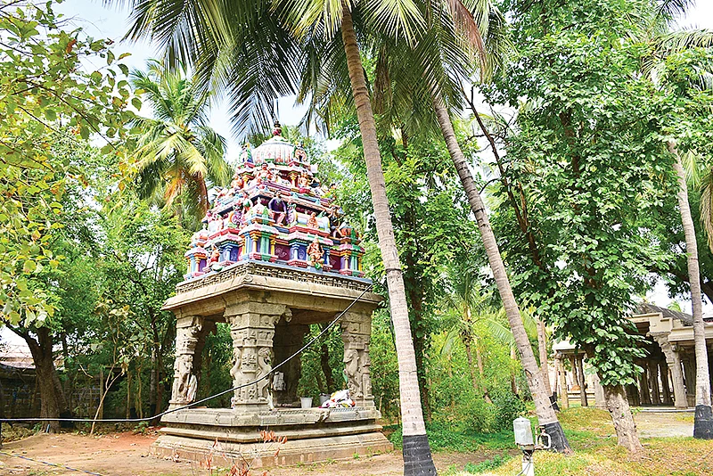 கோயில்களில் மரங்கள்