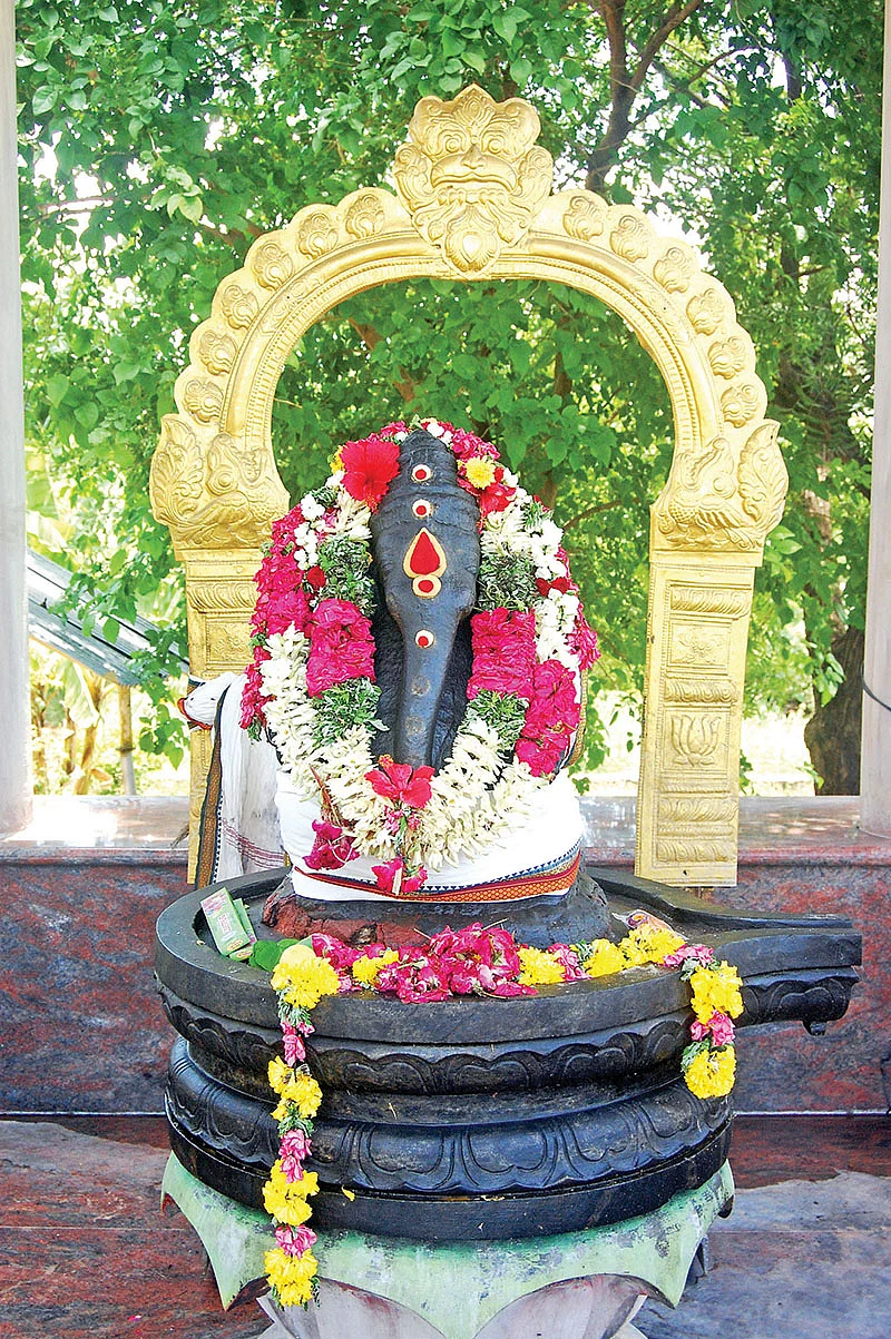 வேலை கிடைக்க
வாழைப்பழ மாலை!