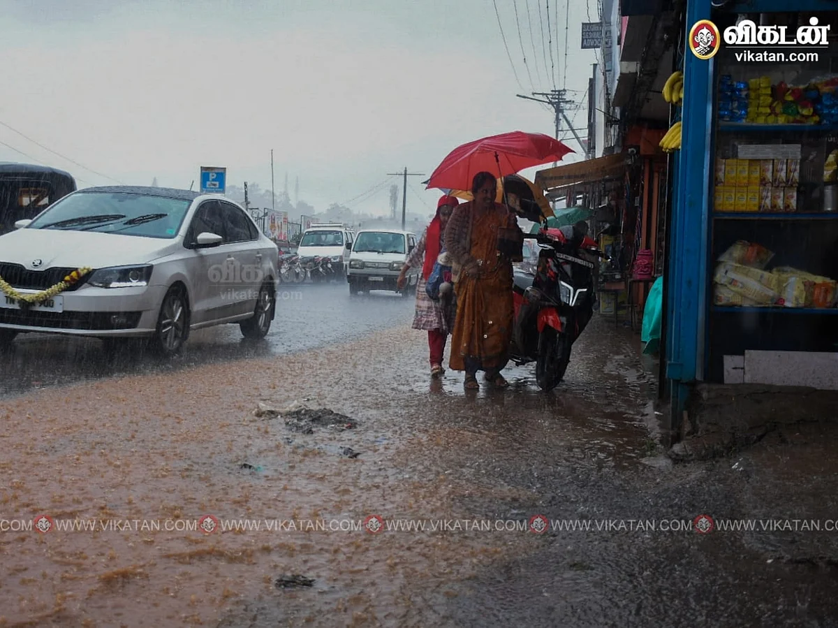 நீலகிரி ரெட் அலர்ட்: கொட்டித் தீர்க்கும் கனமழை... தொடர்ந்தால் மரங்கள் விழும் ஆபத்து?!