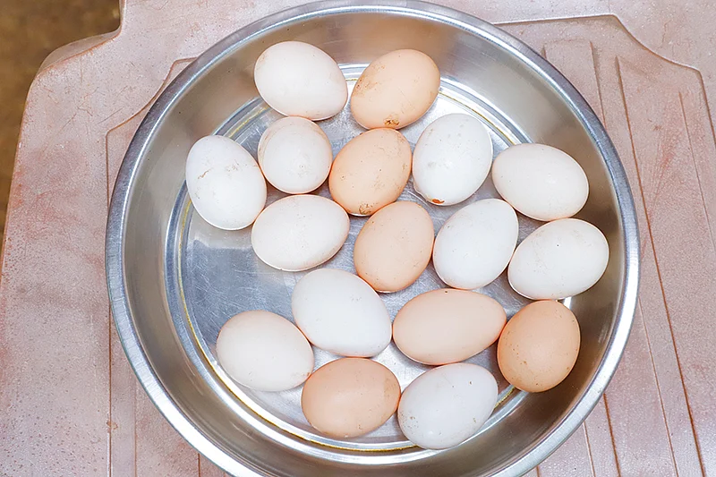 முட்டைகள்