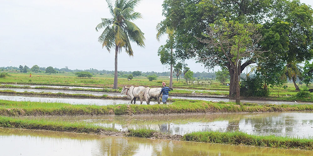 விமான நிலையம் அமையவுள்ள பகுதி