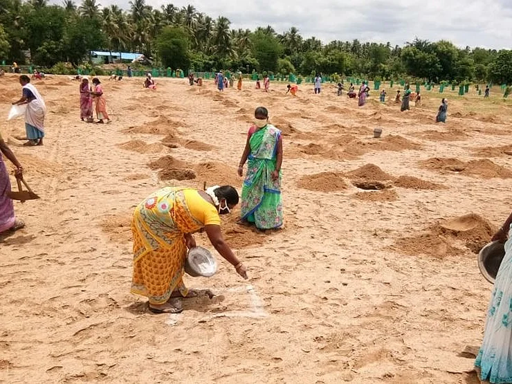 `வழக்கு போட்டாங்க, மிரட்டினாங்க, நான் பின்வாங்கல' அரசு நிலத்தில் மரங்களை வளர்க்கும் இளைஞர்!