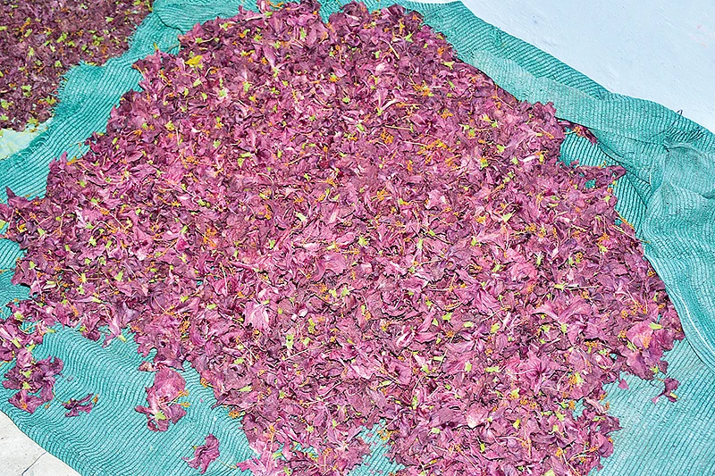 உலர வைத்த பூக்கள்