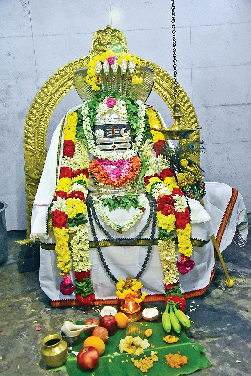 நாகேஸ்வரர்