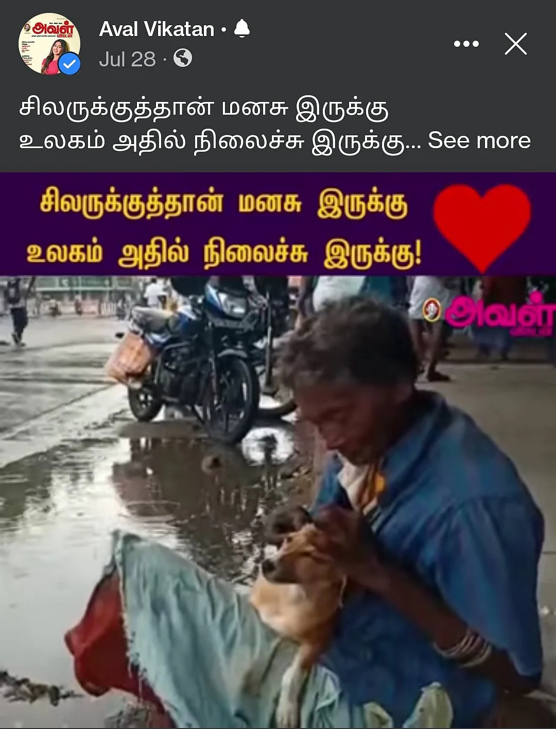 நாய்க்குட்டியை அரவணைத்த பாட்டி