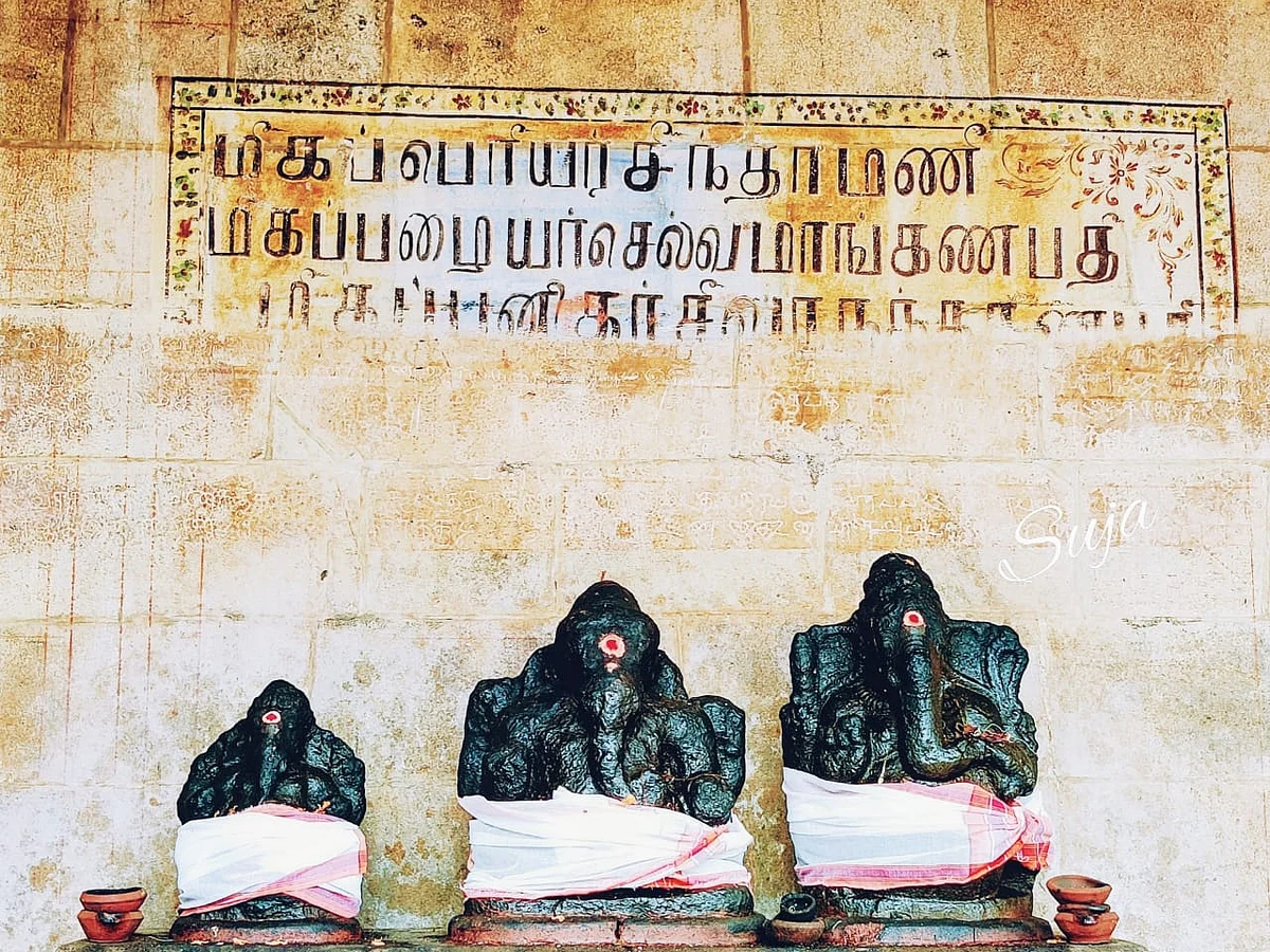 விநாயகர் சதுர்த்தி: ‘மிகப்பழையர், மிகப்பெரியர், மிகப்புனிதர்’-மயிலாடுதுறை மும்முக விநாயகர் தரிசனம்!