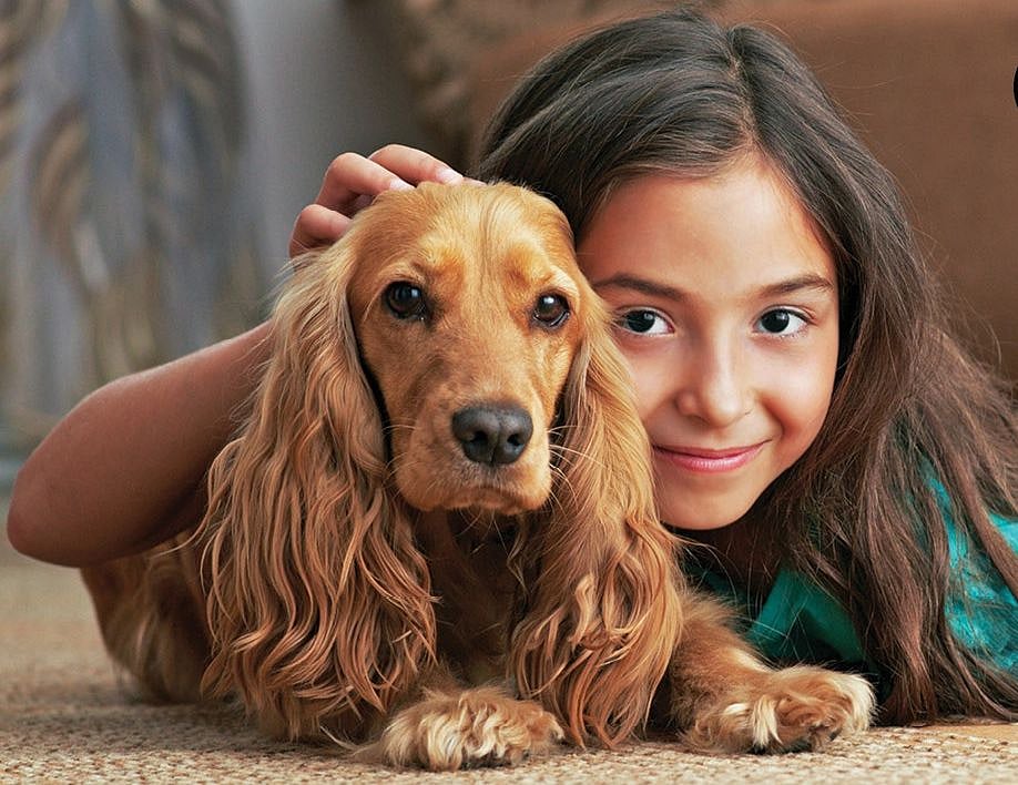 `ஒரு வீட்டில் இரண்டு நாய்களுக்கு மேல் வளர்க்கக்கூடாது!' - 
திருவனந்தபுரம் மாநகராட்சி தீர்மானம்