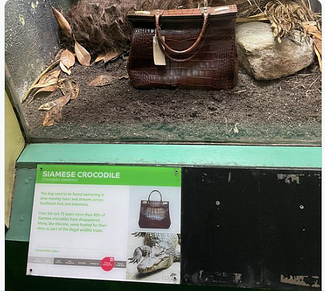 Hand bag