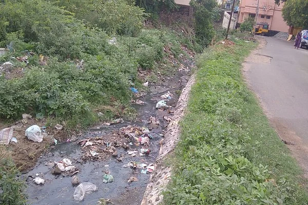 கொசுக்கள் உற்பத்தியாகும் இடம்