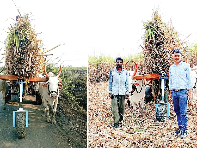 மாட்டு வண்டியில் மூன்றாவது சக்கரம்... மாடுகளின் சிரமத்தைக் குறைக்க மகாராஷ்டிராவில் புதிய முயற்சி!