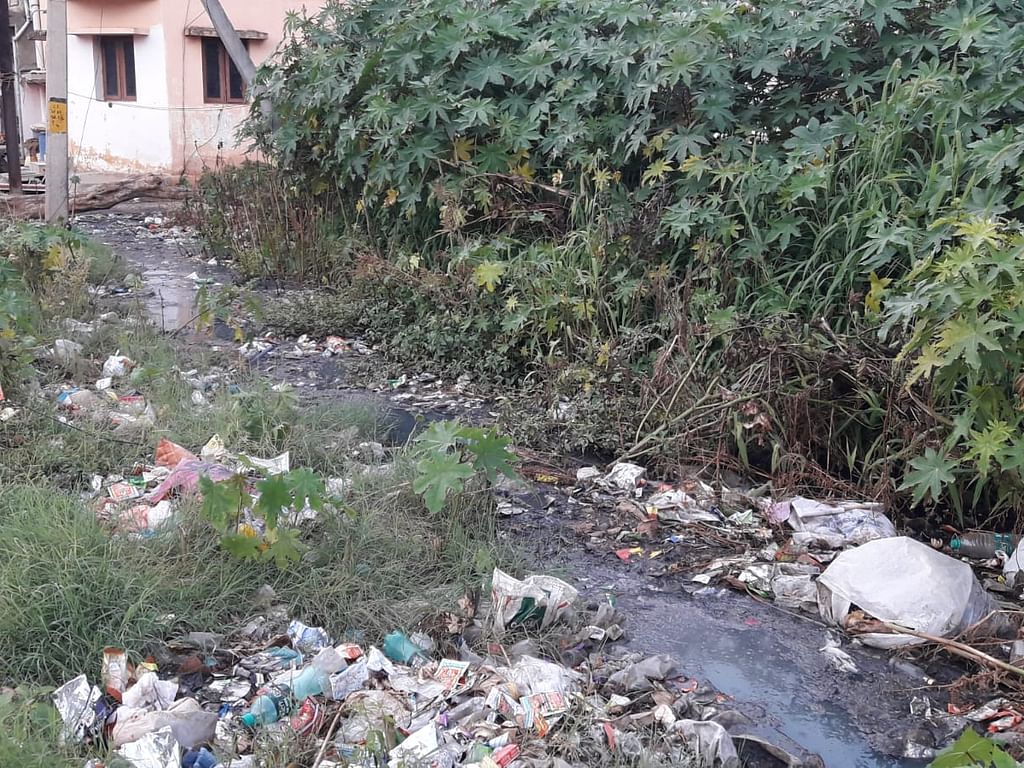 கோவை