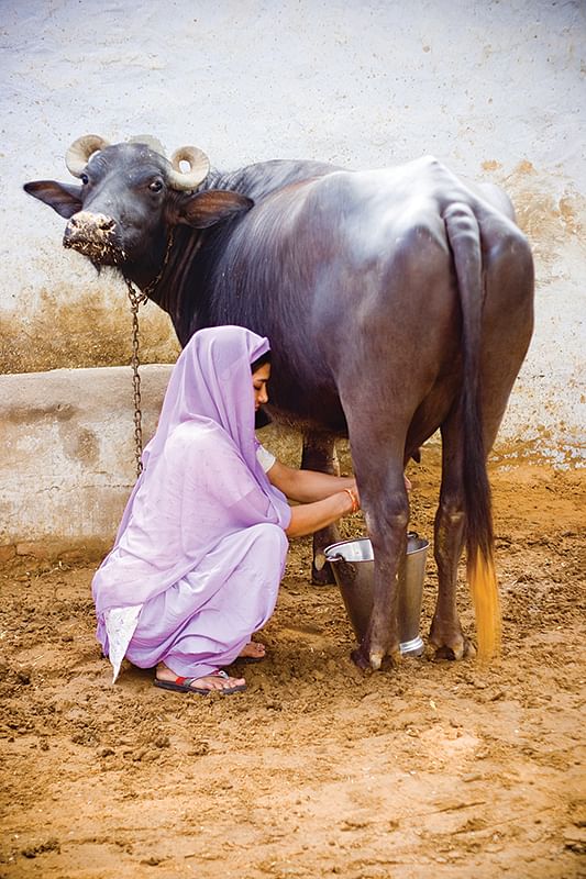 ஆரோக்கியம் ஒரு பிளேட் - 25