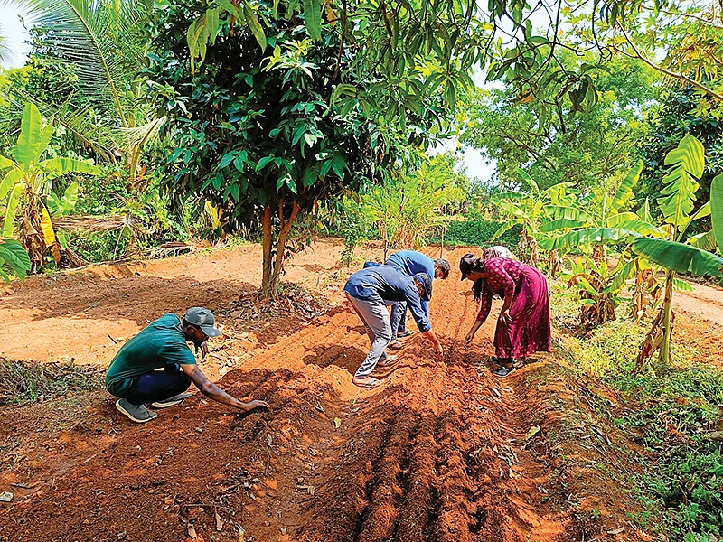 பண்ணையில் பயிற்சி