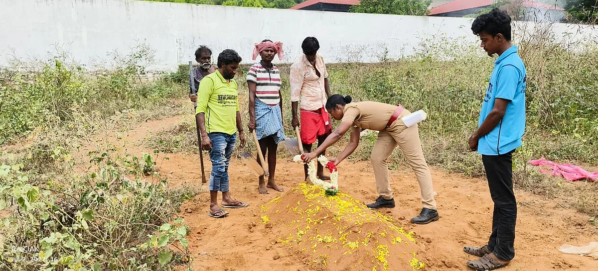 அமினா